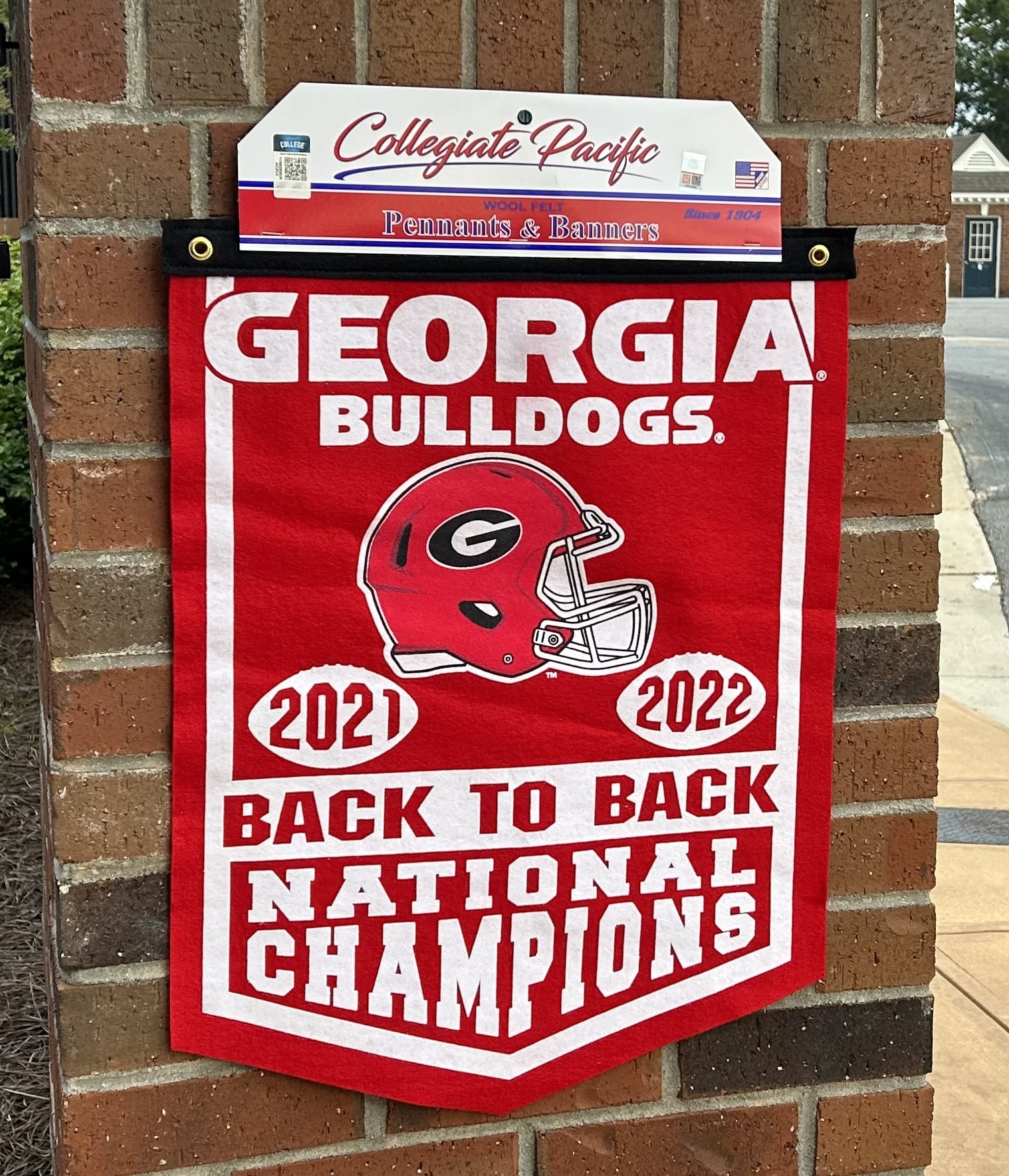 2021 Champions UGA Georgia Bulldogs Atlanta Braves Sweatshirt